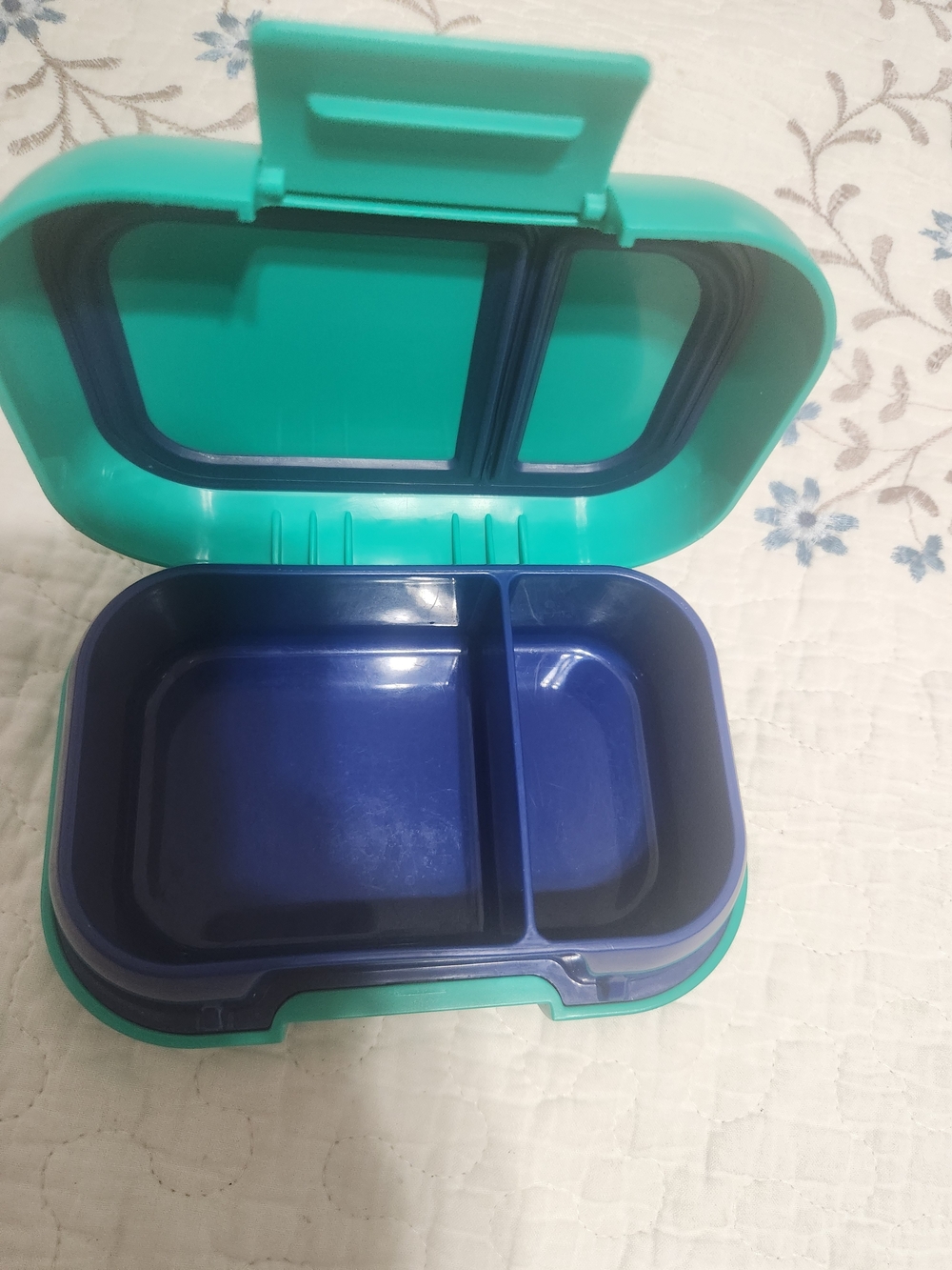 Bengo Snack Box - Picture 2 of 5